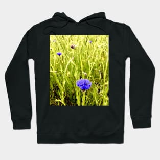 Blue Cornflower on a Field Hoodie